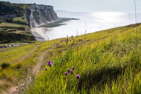 Saint-Martin-en-Campagne, Seine Maritime