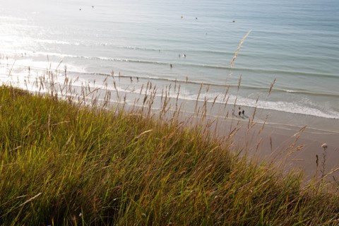 Saint-Martin-en-Campagne, Seine Maritime