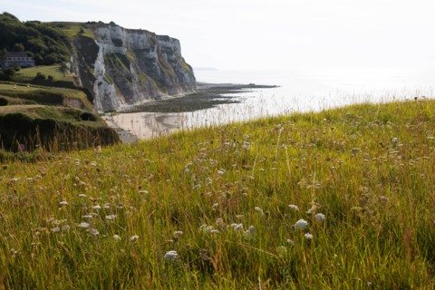Saint-Martin-en-Campagne, Seine Maritime