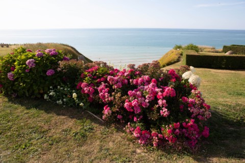 Saint-Martin-en-Campagne, Seine Maritime