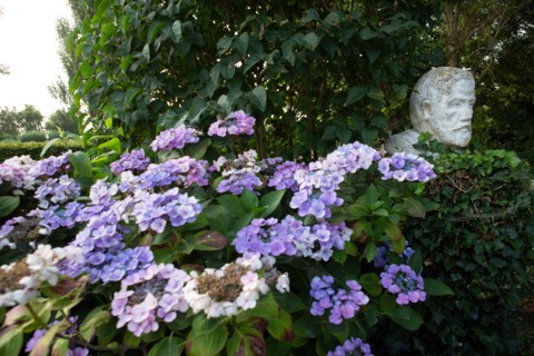 Jardin des personnalités à Honfleur