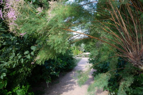 Jardin des personnalités in Honfleur