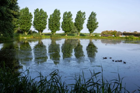 Jardin des personnalités in Honfleur