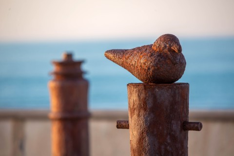 Saint-Valery-en-Caux, front de mer