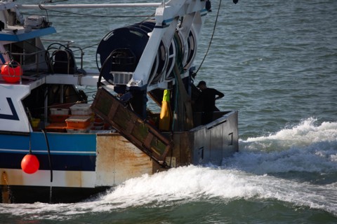 Le Havre harbour
