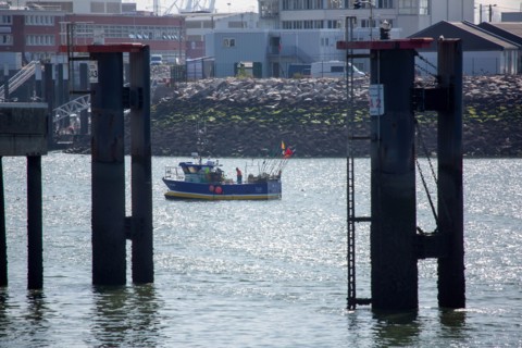 Le Havre harbour