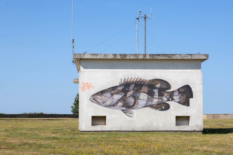 Cap de la Hève, Seine Maritime