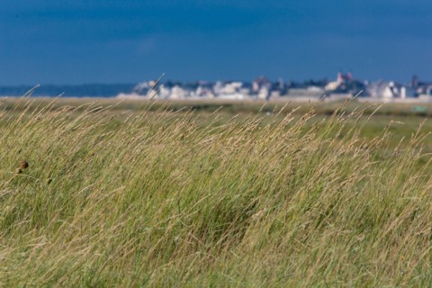 Saint-Valery-sur-Somme