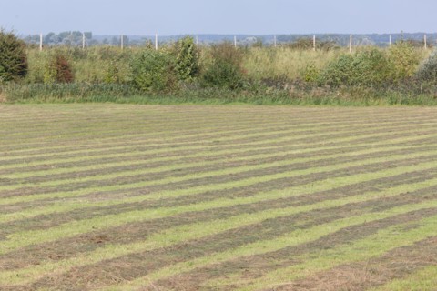 Saint-Valery-sur-Somme