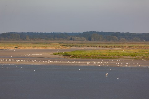 Le Crotoy
