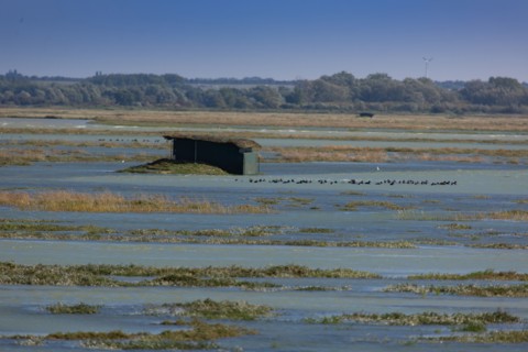 Le Crotoy