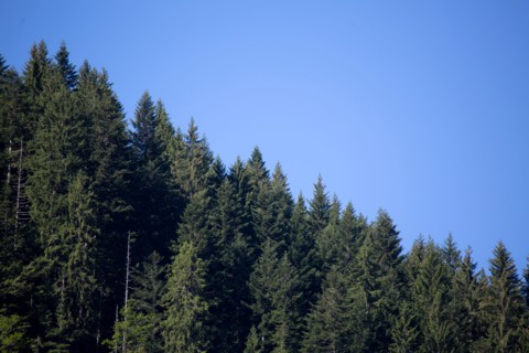 Morzine, Haute-Savoie