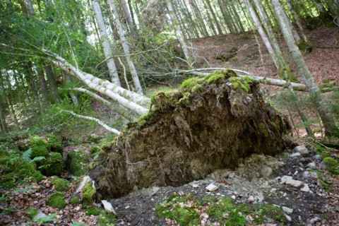 Morzine, Haute-Savoie