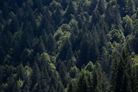 Morzine, Haute-Savoie