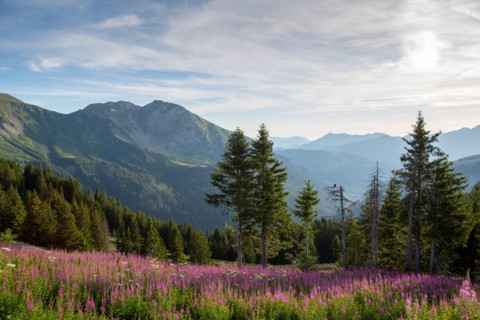 Avoriaz, Haute-Savoie