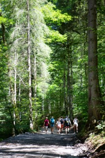 Montriond, Haute-Savoie, cascade d'Ardent
