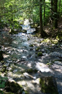Montriond, Haute-Savoie, cascade d'Ardent