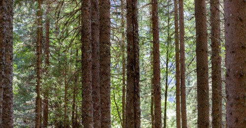 Morzine, Haute-Savoie