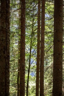 Morzine, Haute-Savoie