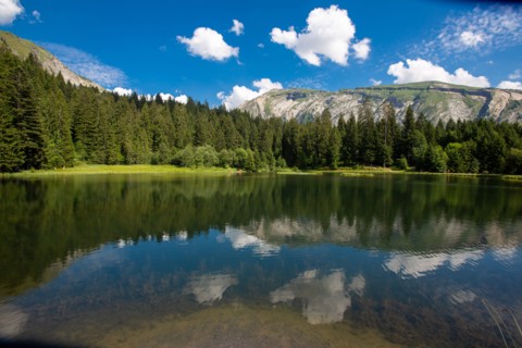 Morzine, Haute-Savoie, site du lac des Mines d'Or, le rouleau de Bostan