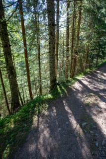 Morzine, Haute-Savoie, au fil de la Dranse de Morzine depuis le lac des Mines d'Or