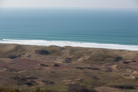 Sand dunes of Biville (Manche)