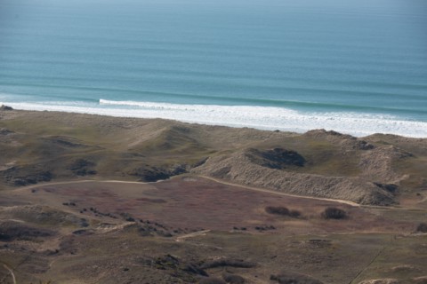 Sand dunes of Biville (Manche)