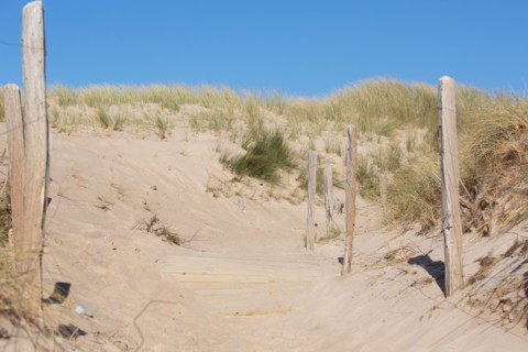 Dunes de Biville (Manche)
