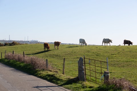 La Hague, Nez de Jobourg (Manche)