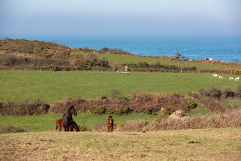 La Hague, baie de Calgrain (Manche)