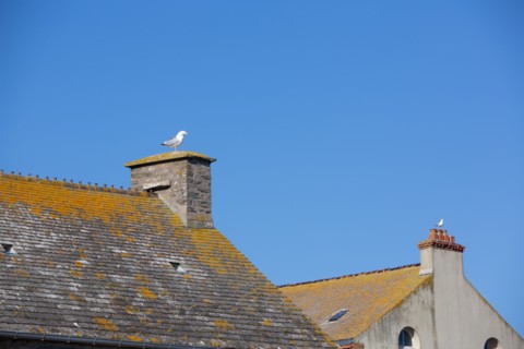 La Hague, Auderville, pointe de Goury (Manche)