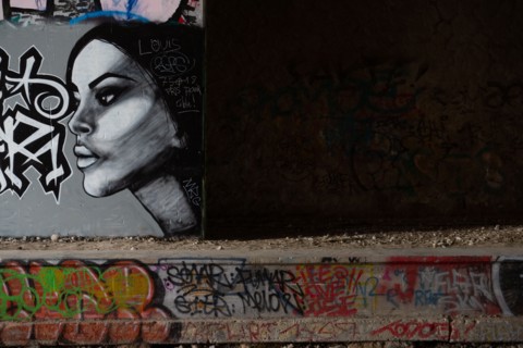 Paris, Petite Ceinture en la gare du Poinçon et la rue Didot