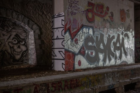 Paris, Petite Ceinture en la gare du Poinçon et la rue Didot