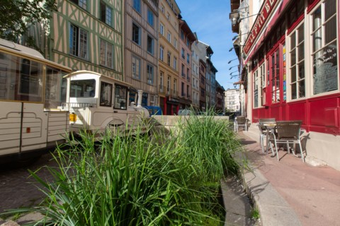 Rouen (Seine Maritime), rue Eau de Robec
