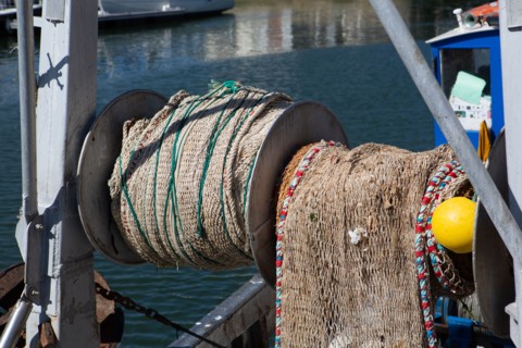 Courseulles-sur-Mer (Calvados)