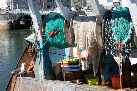 Courseulles-sur-Mer (Calvados)