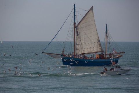Fécamp (Seine-Maritime)
