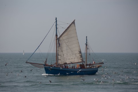 Fécamp (Seine-Maritime)