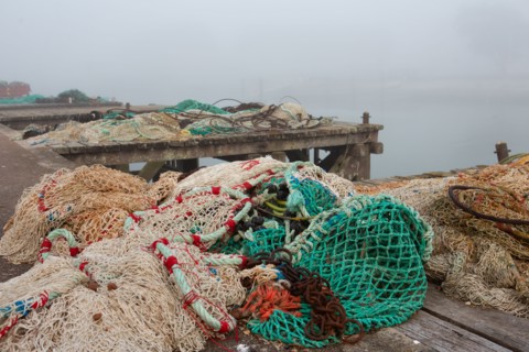 Courseulles-sur-Mer (Calvados)
