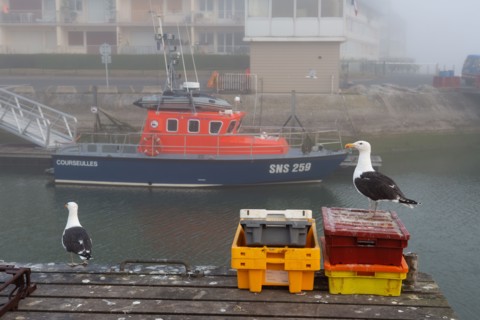 Courseulles-sur-Mer (Calvados)