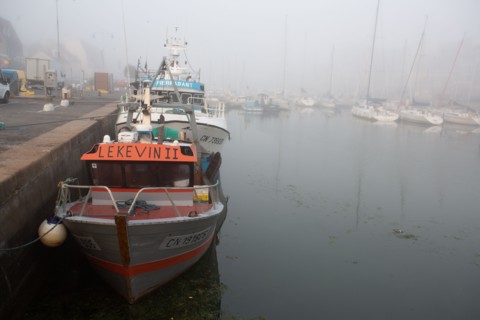 Courseulles-sur-Mer (Calvados)
