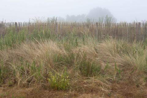 Courseulles-sur-Mer (Calvados)