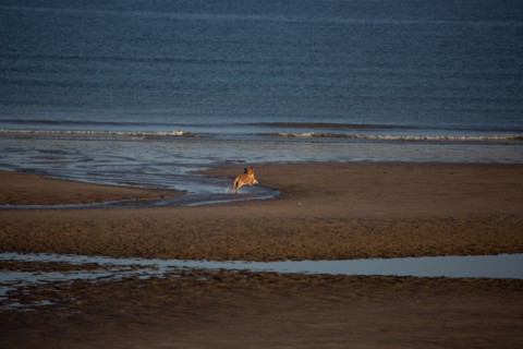 Blonville-sur-Mer (Calvados)