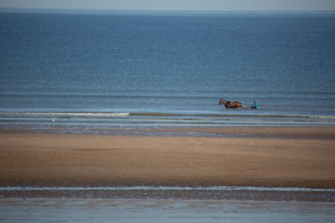 Blonville-sur-Mer (Calvados)
