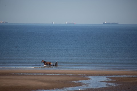 Blonville-sur-Mer (Calvados)