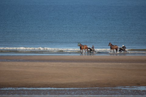 Blonville-sur-Mer (Calvados)