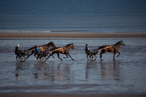 Blonville-sur-Mer (Calvados)
