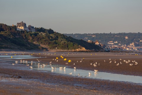 Deauville (Calvados)