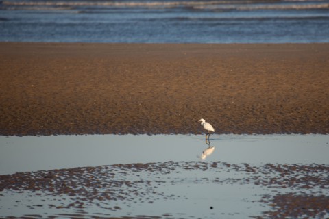 Blonville-sur-Mer (Calvados)