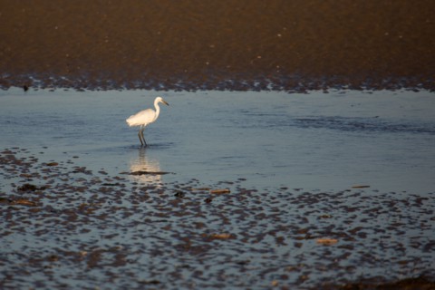 Blonville-sur-Mer (Calvados)